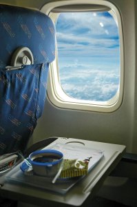 Airline Seat & Tray Table