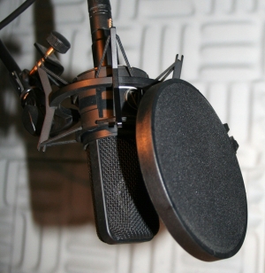 Microphone